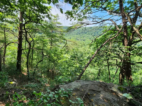 0 Eagle Point Dr Lot 23, Monteagle, TN 37356