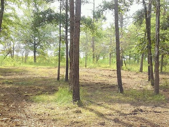 3rd image of PR 8525 Lot 15