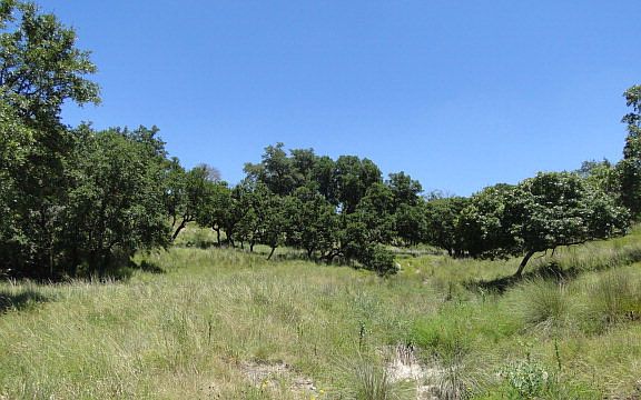 3rd image of 247 Old Hwy Ste 9