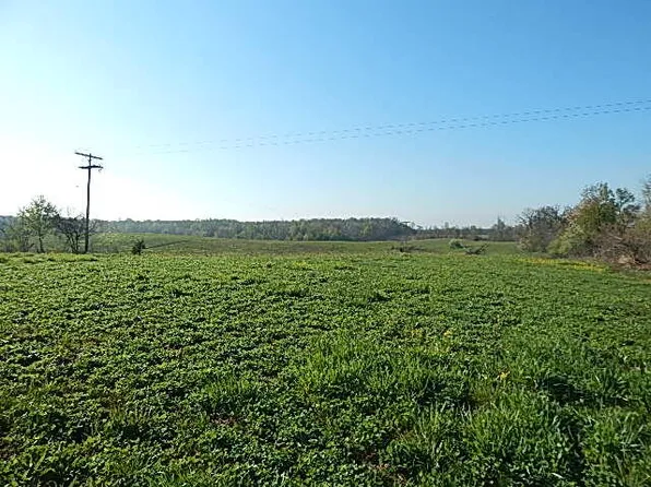 8833 W Territorial Rd, Camden, MI 49232