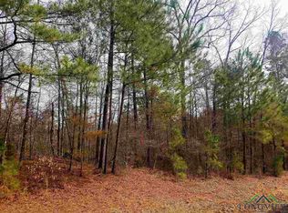 Tbd Sam Hall Rd, Hallsville, TX 75650