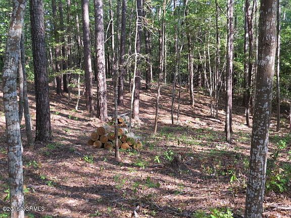 2nd image of 000 Plantation Drive