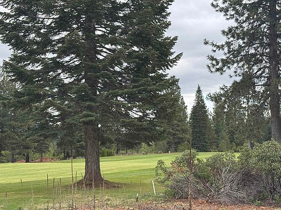 4th image of 99 Dinsmore Dr