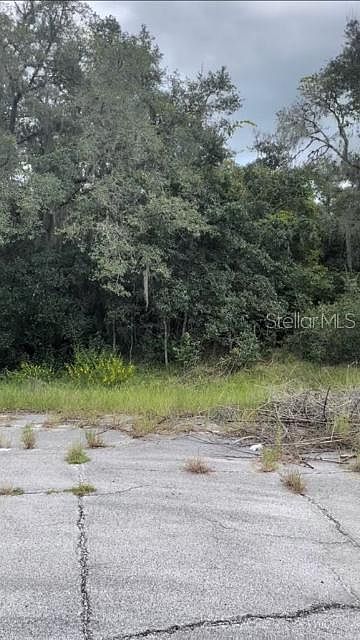 2nd image of 1209 Vernon Way