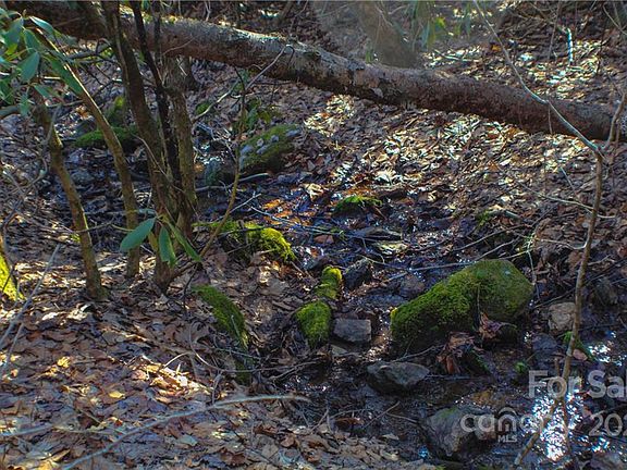 2nd image of 70 Mountain Magnolia Dr Lot 50