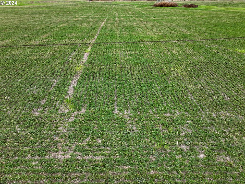 2nd image of (Undisclosed Address)