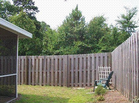 Private backyard-no neighbors behind the house. Only trees!