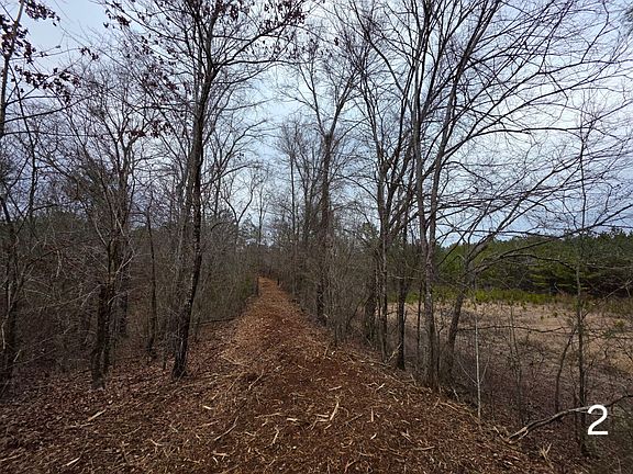 2nd image of 0 Cove Shocco Rd