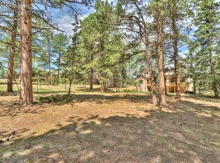 180 Wildrose Ct, Woodland Park, CO 80863