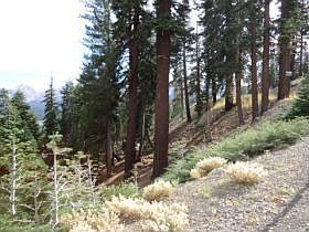 2nd image of 645 John Muir Rd