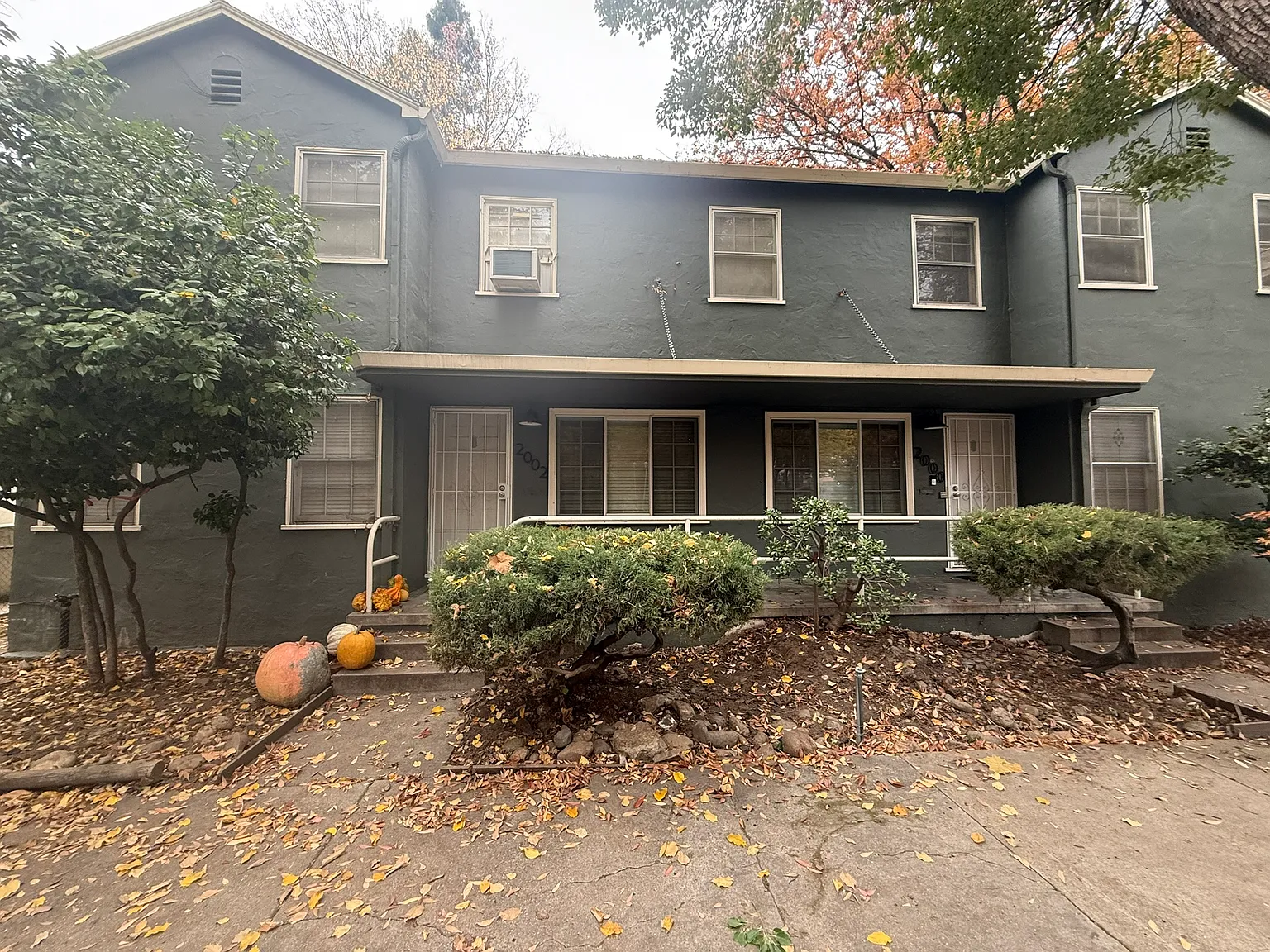 Studio, 350 sqft, $1,250 — Photo 1