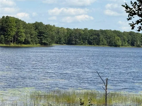 Lot 2 Ramer Road, Bruce, WI 54819