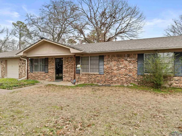 3955 S Sego Lily Rd, Diana, TX 75640
