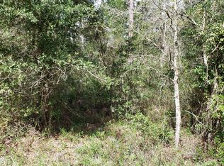 4775 Sedge St, Middleburg, FL 32068