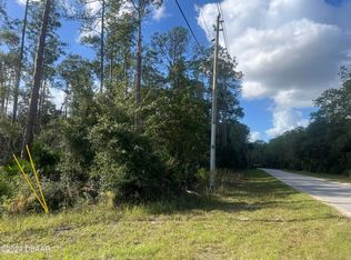194 Whispering Pines Rd, Georgetown, FL 32139