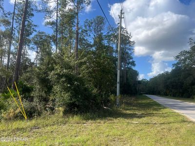 194 Whispering Pines Rd, Georgetown, FL, 32139