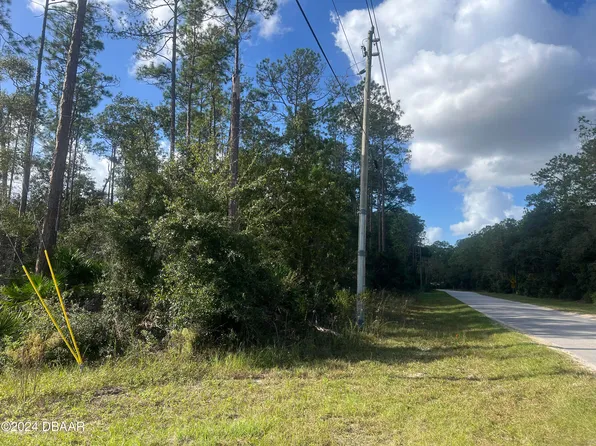 194 Whispering Pines Rd, Georgetown, FL 32139
