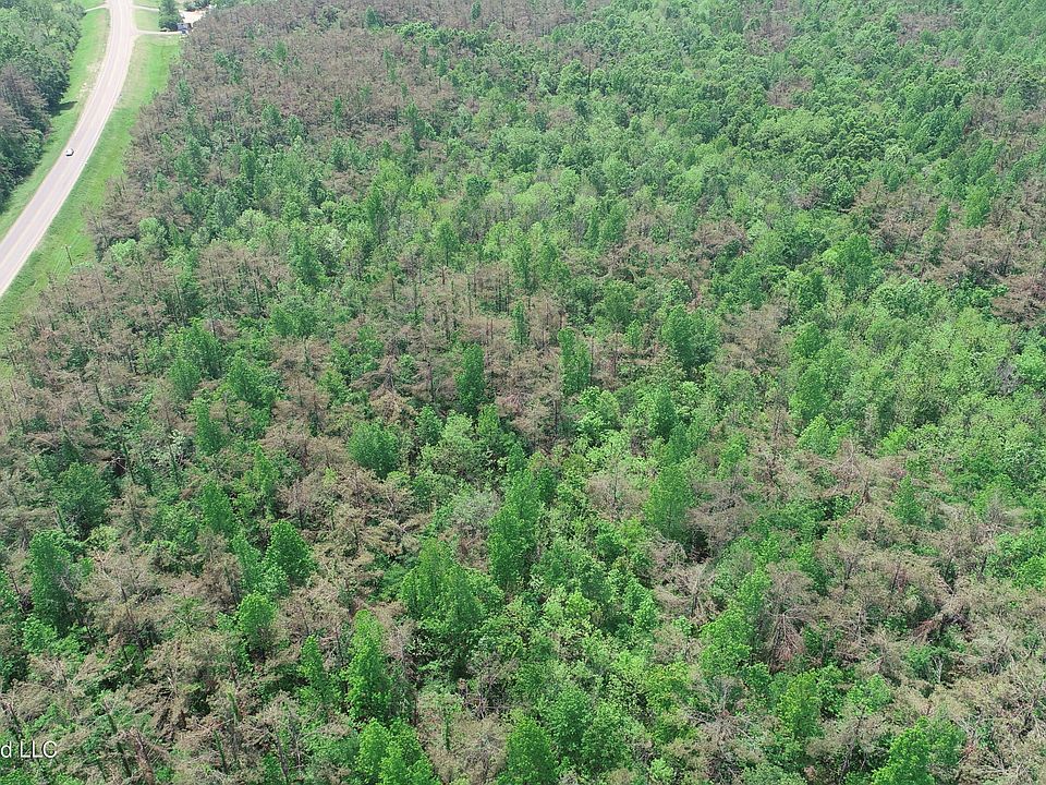 2nd image of Highway 7 N