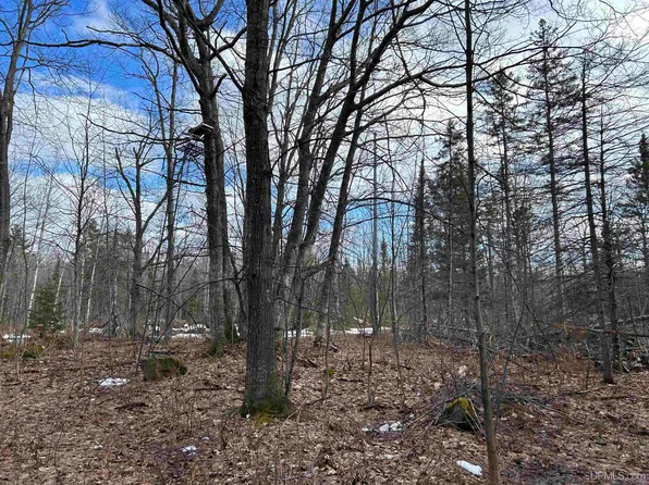 Tbd Boston Rd, Hancock, MI 49930