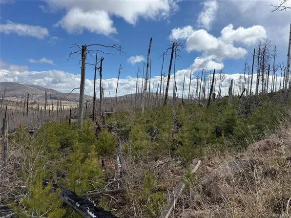 Lot 1960 Hilda Lane LOT 1960, Fort Garland, CO 81133