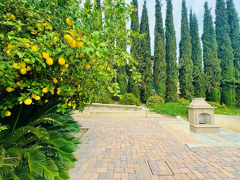 Westridge Way — Photo 6