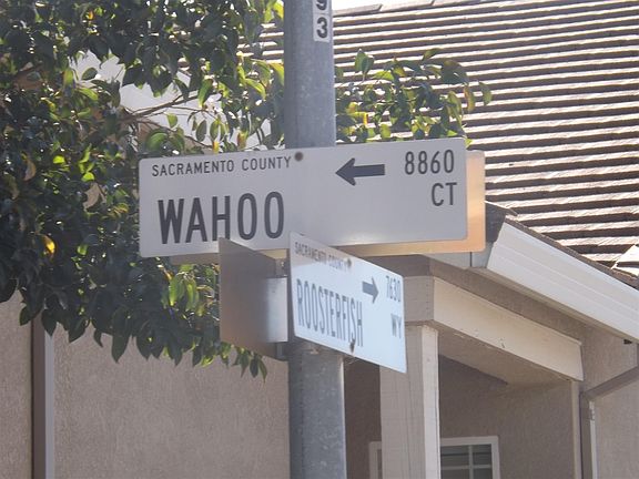 5th image of 8869 Wahoo Ct