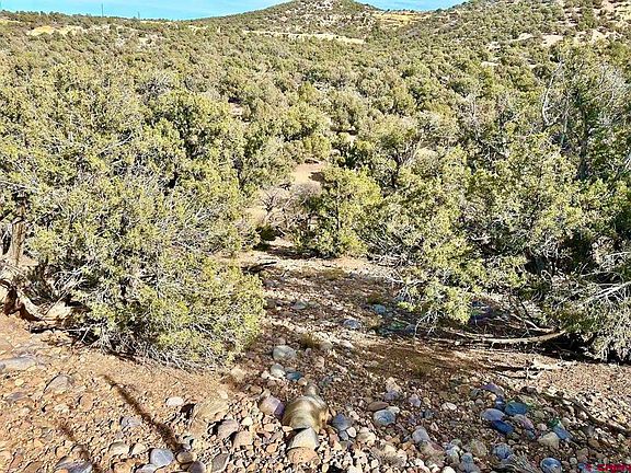 3rd image of 000 CR 2550 Road