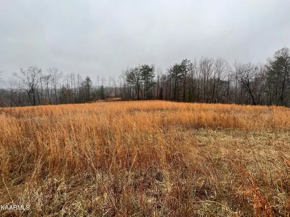 Buffalo Rd, Oneida, TN 37841