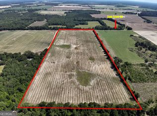 0 Sam Scott Rd, Bainbridge, GA 39817