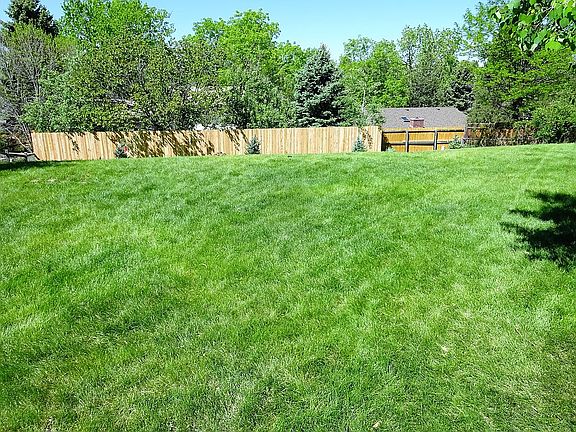 back yard