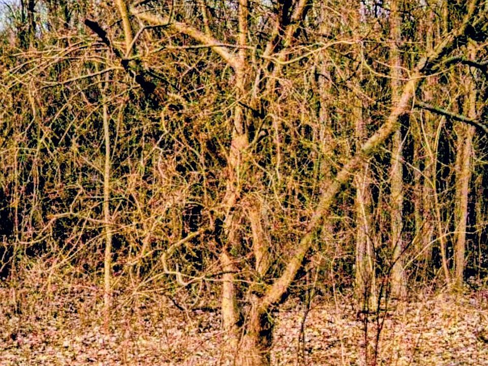 1st image of 5931 N Territorial Rd E