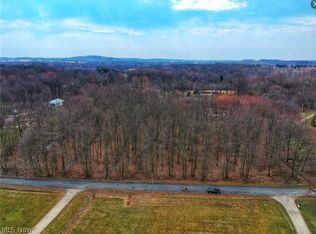 Saxe Rd, Mogadore, OH 44260