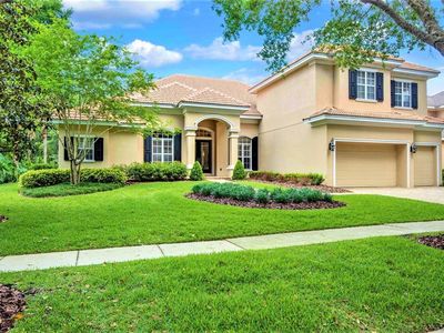 15508 Avocetview Ct, Lithia, FL, 33547