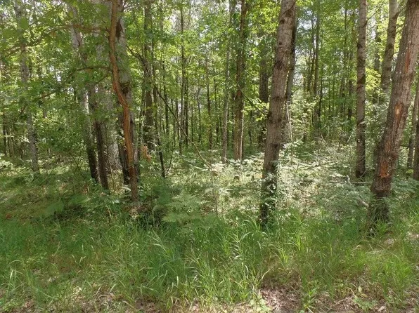LOT 473 Deerwood Ct, Roscommon, MI 48653