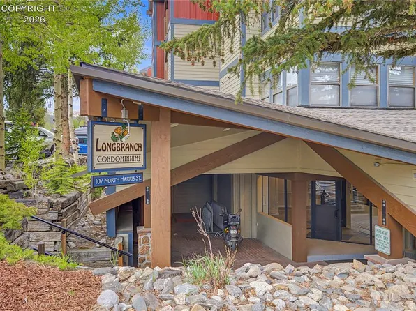 107 N Harris St #209, Breckenridge, CO 80424