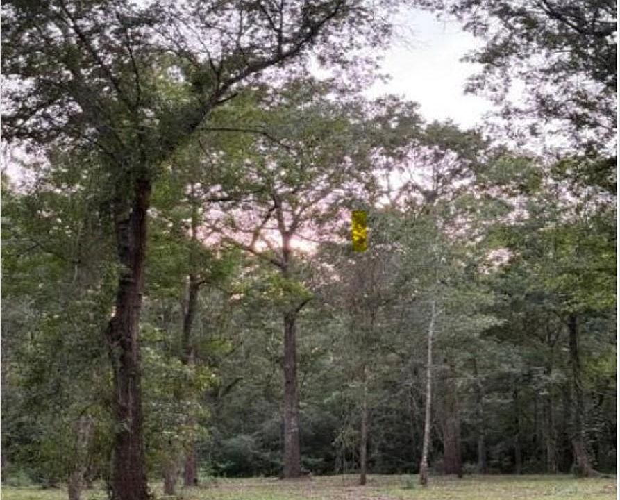 1st image of 26164 Grand Pines Rd #4-18D