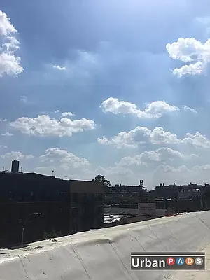 Rented by Urban Pads | media 10