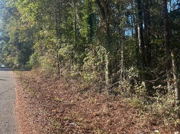 0 Lee St, Castleberry, AL 36432