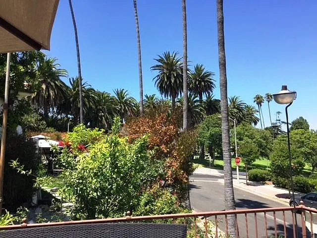 view from terrace to the park