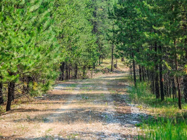 187 Osprey Way, Marion, MT 59925