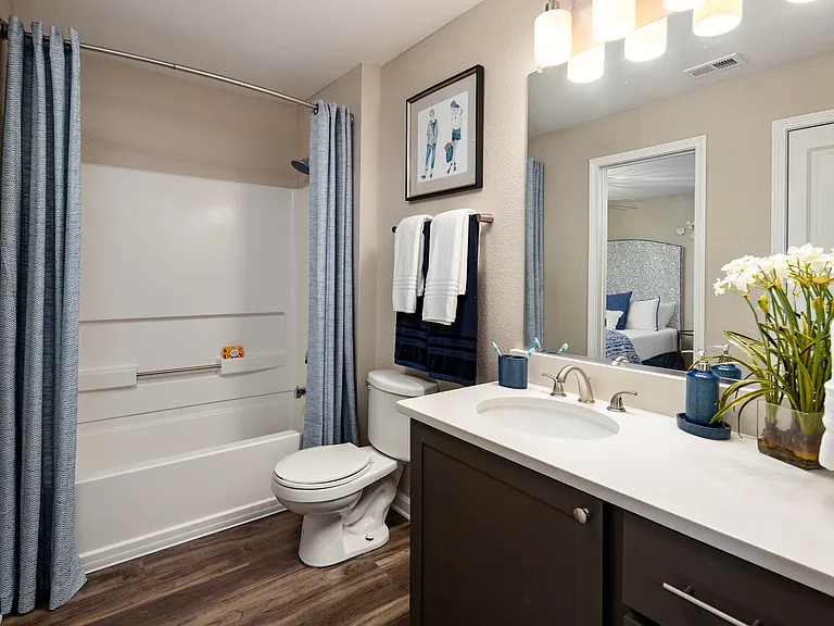 Bathroom with large vanity