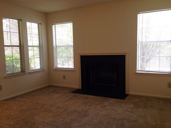 Wood burning fireplace