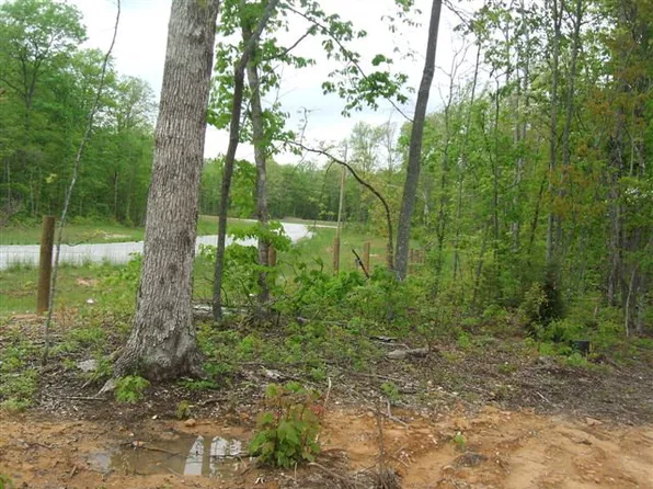 Pioneer Trail Ln, Crawford, TN 38554