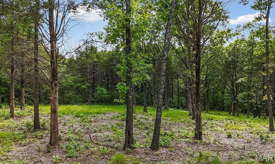 1st image of 299 Whitetail Rdg