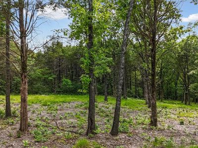 299 Whitetail Rdg, Dittmer, MO, 63023