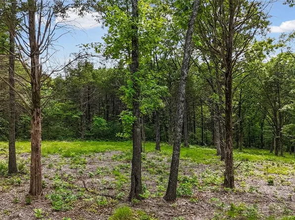 299 Whitetail Rdg, Dittmer, MO 63023