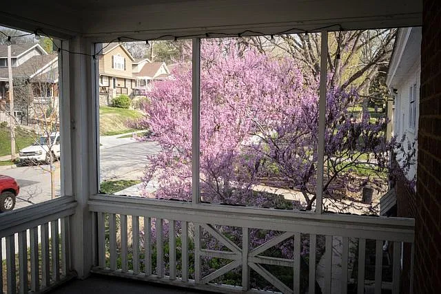 3 bed, 1800 sqft, $2,600 — Photo 4