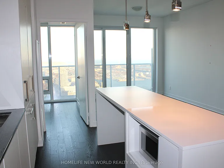 88 Harbour St #6806 — Photo 6