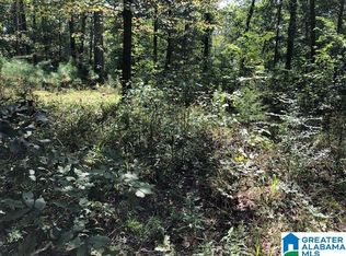 310 Warrior River Highland Rd #1, Adger, AL 35006