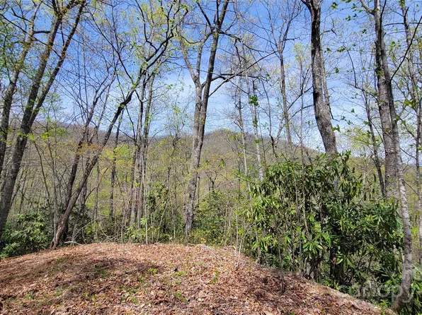 31 Lacy Fern Rdg #31, Sylva, NC 28779